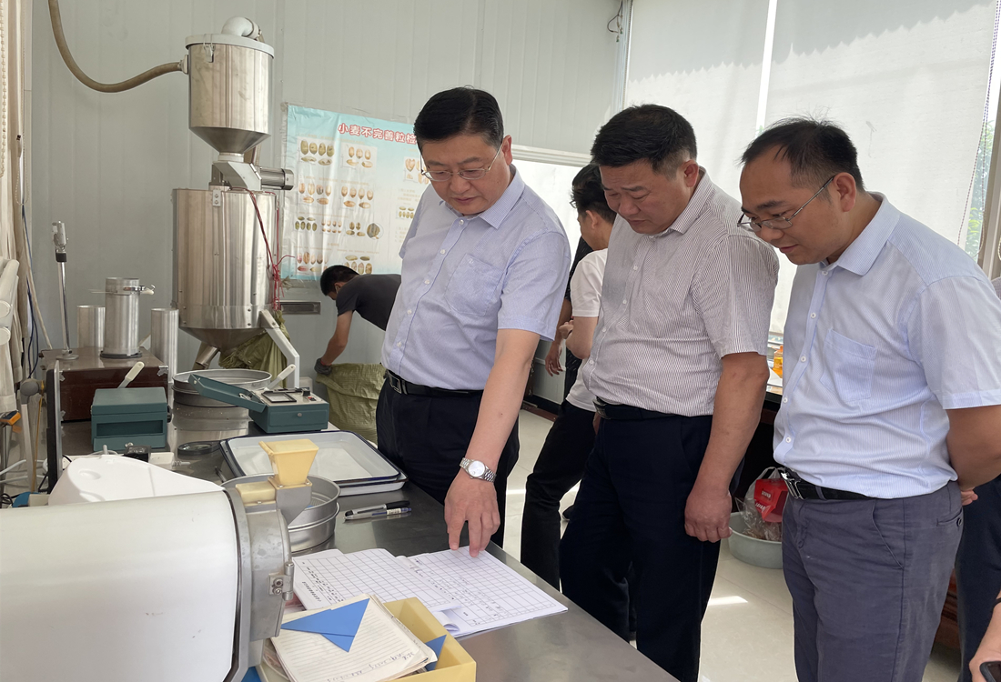市发改委调研夏粮收购.jpg 市发改委调研夏粮收购.jpg