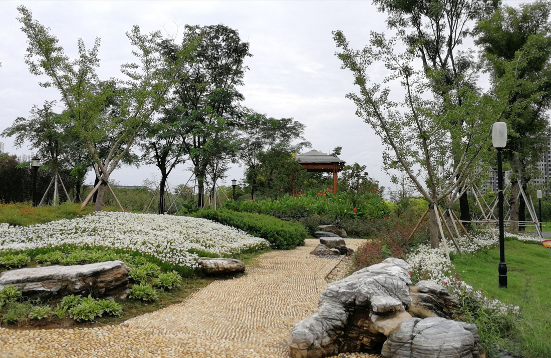 檀溪公园D区景观亭实景.jpg