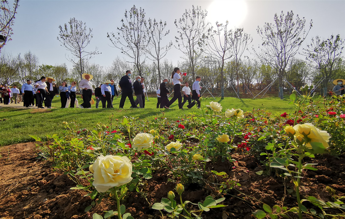 图片4:考察团穿过_副本.jpg 图片4:考察团穿过_副本.jpg