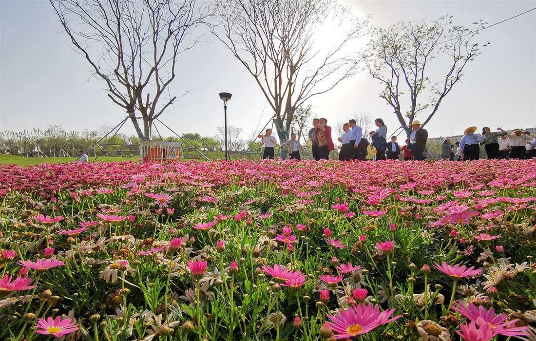 图片6:花海前_副本.jpg 图片6:花海前_副本.jpg