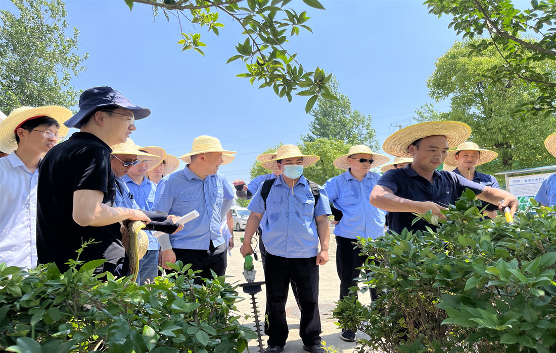 图片1:园林园艺培训.jpg 图片1:园林园艺培训.jpg