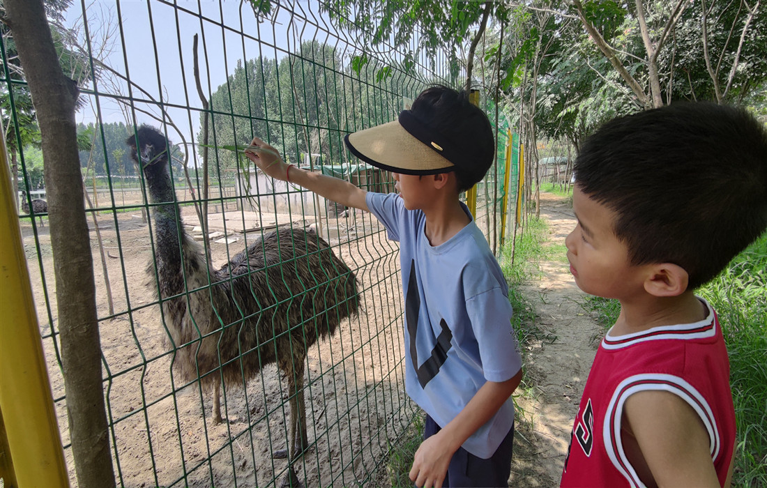 图片1:逗萌宠.jpg 图片1:逗萌宠.jpg