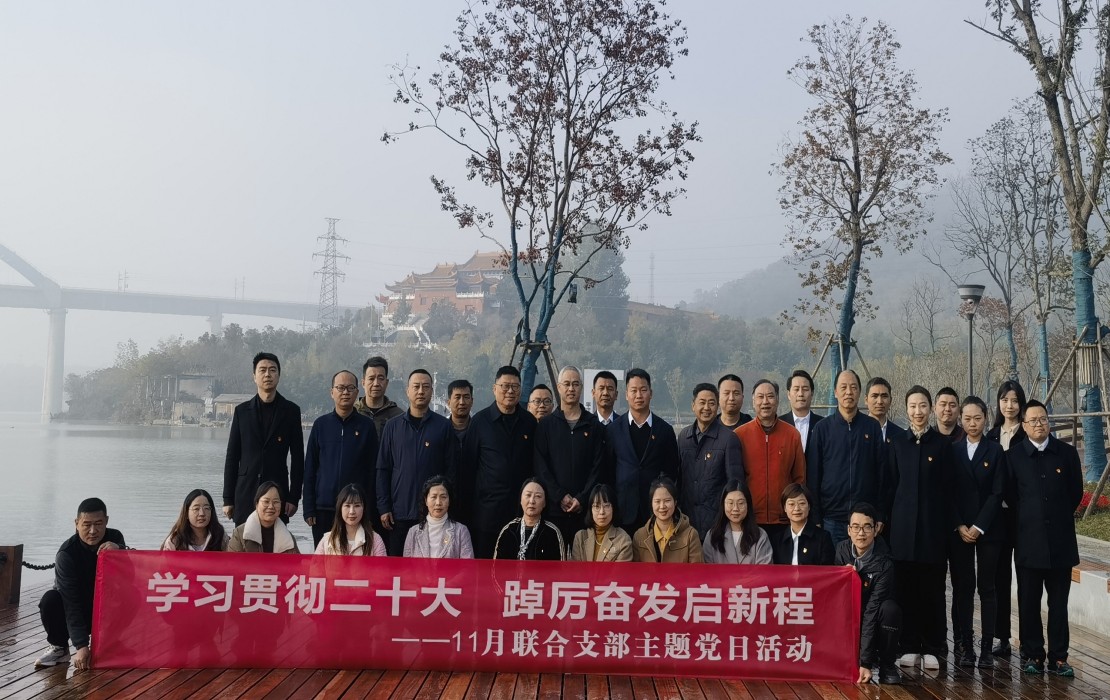 图片1:生态投开展11月联合支部主题党日活动,项目现场照片.jpg 图片1:生态投开展11月联合支部主题党日活动,项目现场照片.jpg