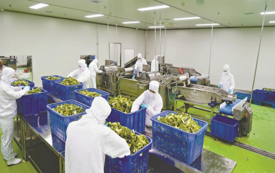 微信图片_20221206203913.jpg 微信图片_20221206203913.jpg