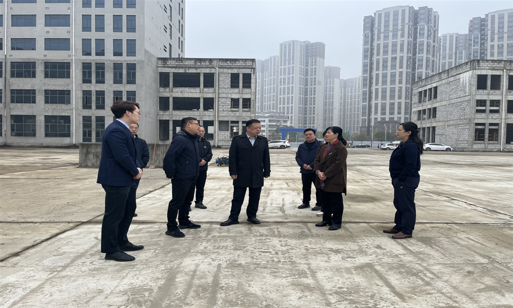 襄阳市政协副主席金崇保一行调研恒泰馨园项目 2.jpg