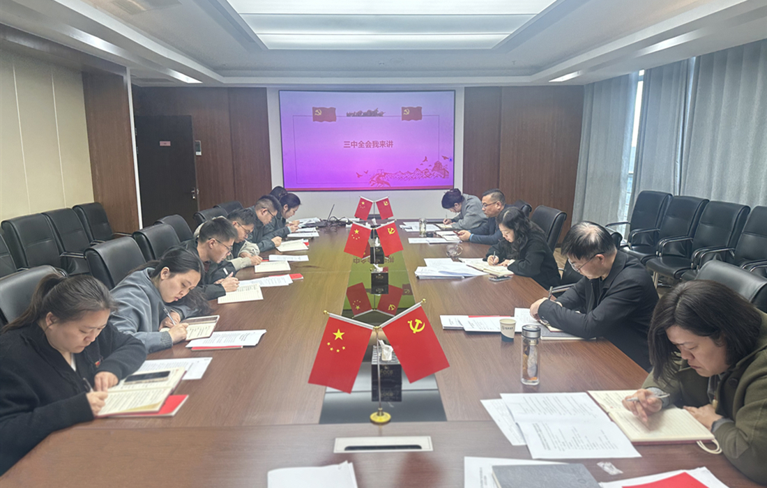 11月22日，恒泰健康围绕“学深悟透全会精神 奋力冲刺全年目标任务”主题，结合支部主题党日扎实开展“三中全会我来讲”活动.jpg