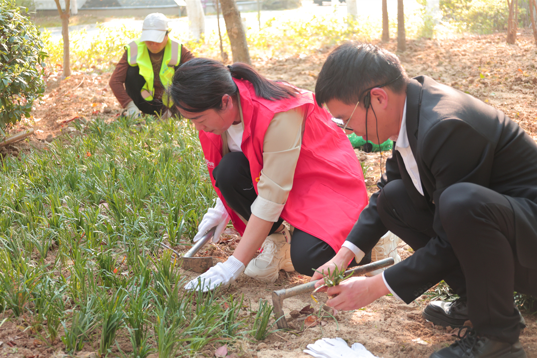 滨江园小区植树.jpg