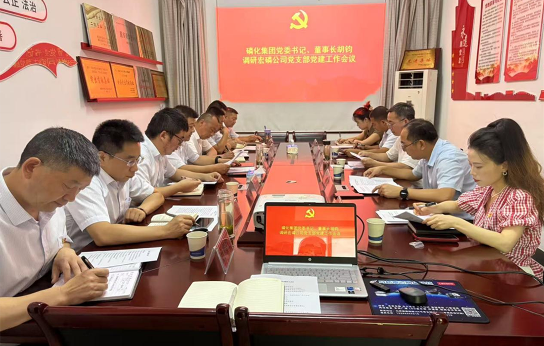 胡董赴宏磷公司党支部调研照片.png